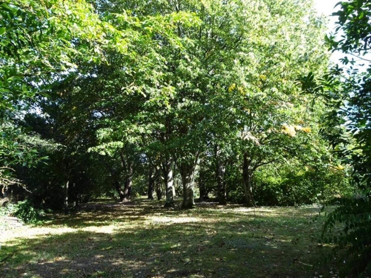 Villa Le Petit Logis Blere Esterno foto